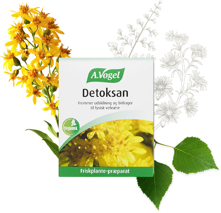 A Vogel Detoksan   60 Tabletter