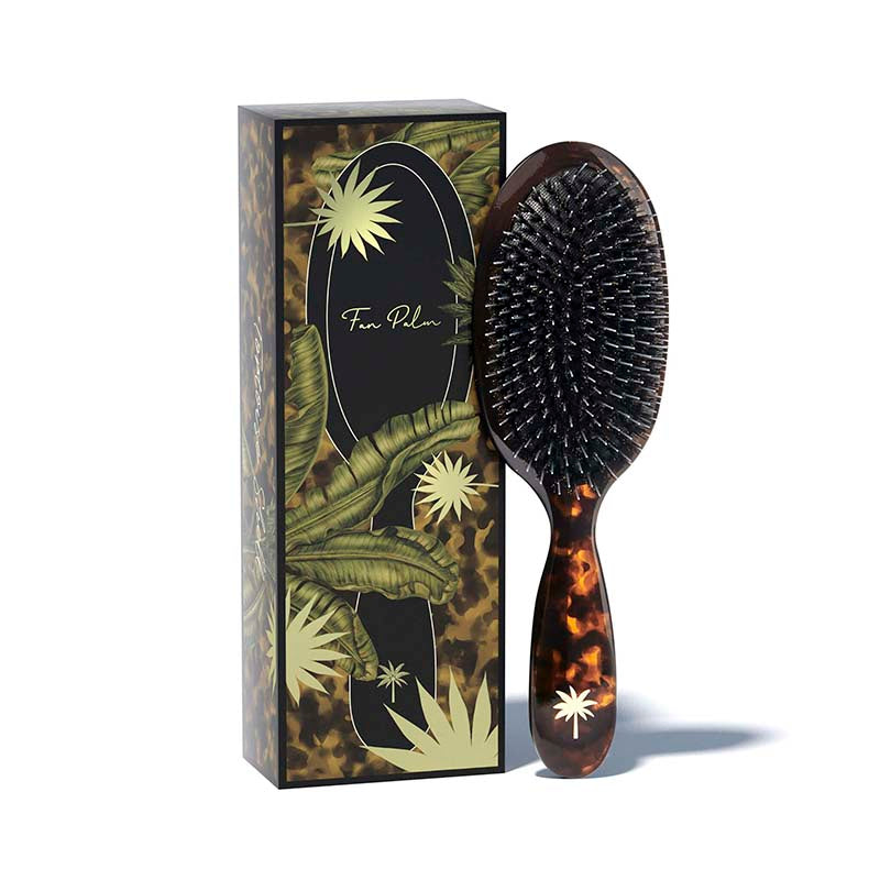 Fan Palm  Tortiose Medium   Hos Frisøren   Baronen